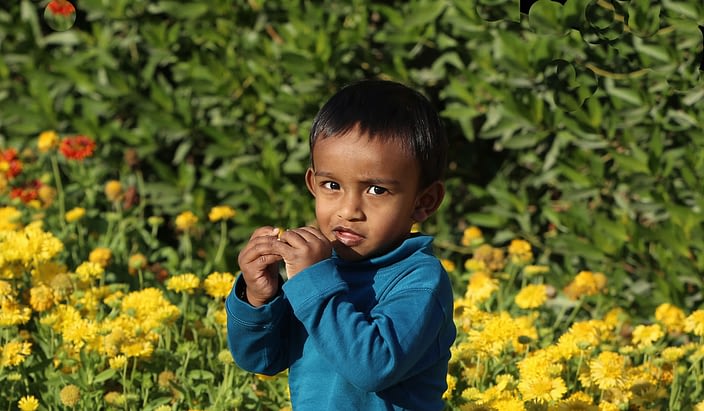 Ashwin sunil is in the flower garden